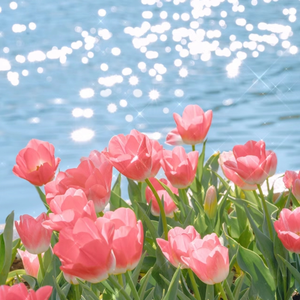 成人免费观看一区二区
