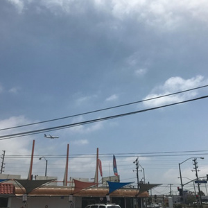 成人免费观看一区二区
